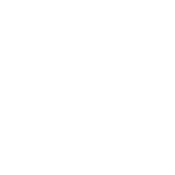 Forte Detail